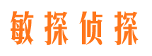 稻城侦探公司